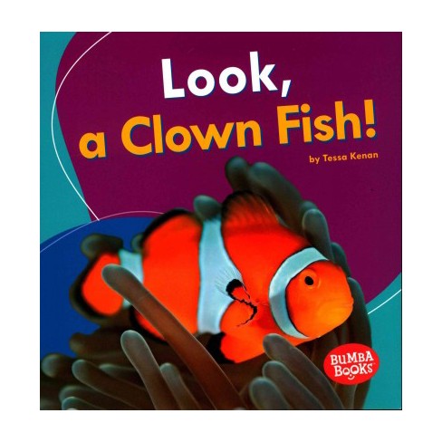 Look A Clown Fish Bumba Books R I See Ocean Animals By Tessa Kenan Paperback Target