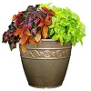 Set of 2 Corinthian Planters - Classic Home and Garden - 2 of 4