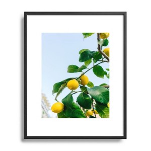 Bethany Young Photography Amalfi Coast Lemons 8"x10" Black Metal Framed Art Print - Deny Designs - 1 of 4