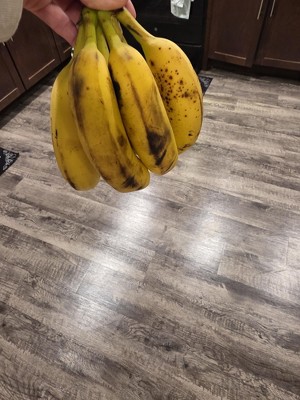 Guest review image 2 of 2, zoom in