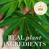 Herbal Essences bio:renew Hemp + Potent Aloe Conditioner for Frizz, 20.2 fl oz - 3 of 4
