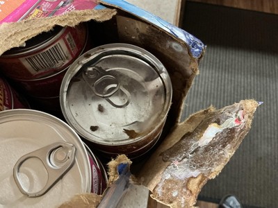 Guest review image 1 of 3, zoom in