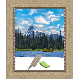 Amanti Art Astor Champagne Picture Frames - 1 of 4