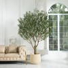DR.Planzen 7FT Artificial Olive Tree with Thick Stump - UV Resistant Faux Plant for Indoor/Outdoor, Black Pot & Realistic Green Leaves - 2 of 4