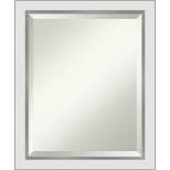 19" x 23" Eva Narrow Framed Wall Mirror Silver - Amanti Art