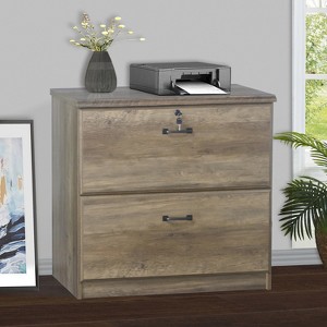 Saint Birch Honduras 2-Drawer Lateral File Cabinet, Rustic Oak - 1 of 3