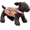 The Worthy Dog Kaleidoscope Adjustable Pet Dress - 2 of 3