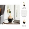 Modern Ceramic Vase with Sculptural Form - Contemporary Decorative Appeal - Bold Visual Texture in Artisan-Inspired Home Accent Decor - Two-Tone - 4 of 4