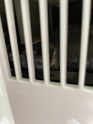 Guest review image 5 of 5, zoom in