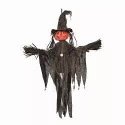 Transpac Polyester Black Halloween Light Up Scarecrow