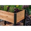 22"x35" Rectangular Wood Mezza Herb Farm Wood Garden Bed Light Brown - Vita: Insect-Resistant - 3 of 4