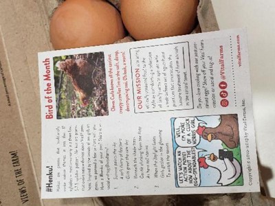 Vital Farms Pasture-raised Grade A Large Eggs - 12ct : Target