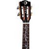 Luna Vineyard Koa Concert Acoustic-Electric Ukulele Gloss Natural - 4 of 4