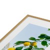 Bethany Young Photography Amalfi Coast Lemons 8"x10" Gold Metal Framed Art Print - Deny Designs - 3 of 4