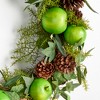 Plum & Post Apple & Mixed Botanicals Wreath 24" - 3 of 3