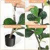 7ft Artificial Fiddle Leaf Fig Tree, Large Fake Plant with Black Nursery Planter - 4 of 4