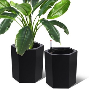 16 Inch Tall Planters Set of 2, Indoor Plants with Water Level Monitor & Drainage Hole & Wheels, Large Planter Pots for Patio, Porch - 1 of 4