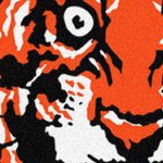 detroit tigers 1961-1963