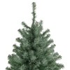 Northlight 7.5' Colorado Blue Spruce Artificial Christmas Tree, Unlit - 4 of 4