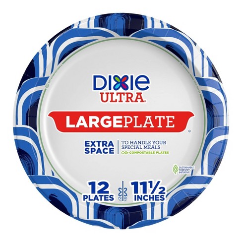 Dixie Ultra Paper Dinner Plates, 10 1/16 inch, 100 Count, White