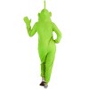 HalloweenCostumes.com Teletubbies Dipsy Adult Jumpsuit Costume - image 4 of 4