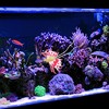 Unique Bargains Aquarium Artificial Snails Ornament Glowing Simulation Animal Decoration 1 Pc - 2 of 4