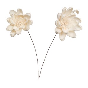 Vickerman 4" Natural Botanicals Dried Sola Flower on Wire Stem - 1 of 4