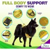 Gm Harness Leash Poo Bag Holder Set - 4 of 4