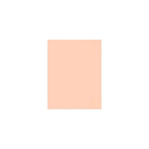 LUX Colored Paper 32 lbs. 8.5" x 11" Blush 500 Sheets/Pack (81211-P-114-500) - 1 of 2