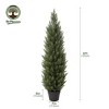 Dr.Planzen Artificial Cypress Topiary Trees Set of 2 - UV Resistant Outdoor Faux Plants for Front Porch - Potted Fake Evergreen Christmas Decor - 3 of 4
