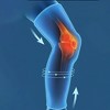 Evertone Titanium Full Leg & Knee Support - 3 of 4