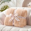 Snuggle Sac Reversible Checkered Throw Blanket, Lightweight Soft Throw - 3 of 4
