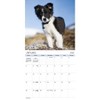 Trends International 2025 Puppies Wall Calendar: Monthly 12x12" Paper, Saddle Stitch Binding, All Ages, Multicolored - 2 of 4