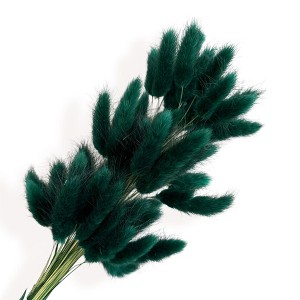 Alilang Dried Bunny Tail Grass Stems for Modern Home Decoration and Floral Arrangements, 23.5 Inches - 1 of 3