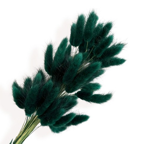 Alilang Dried Bunny Tail Grass Stems for Modern Home Decoration and Floral Arrangements, 23.5 Inches - image 1 of 3