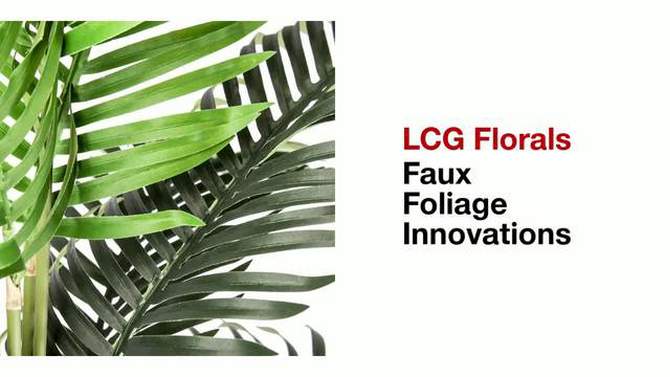 30&#34; x 18&#34; Artificial Phoenix Palm Plant in Basket Stand - LCG Florals, 2 of 9, play video