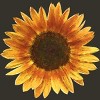 Junior's Design By Humans Sunflower By Maryedenoa T-Shirt - 2 of 3