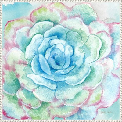 Sweet Succulents I 30"x30" Watercolor Canvas Print in White Frame