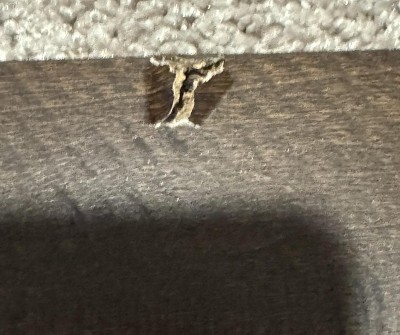 Guest review image 2 of 3, zoom in