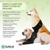 Suitical Recovery Single Sleeve for Dogs - Chest Circumference, Black - 4 of 4