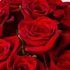 Hispanic Dozen Rose - Good Little Garden™ - 2 of 3