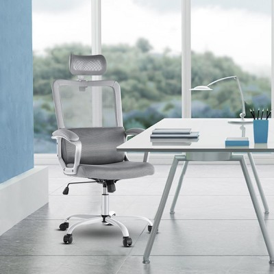 DOMETOUR Ergonomic Mesh Home Office Computer Chair