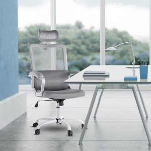 DOMETOUR Ergonomic Mesh Home Office Computer Chair - 1 of 4