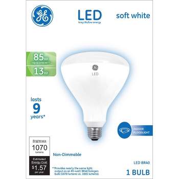 GE 13W 85W Equivalent Basic LED Indoor Floodlight Soft White