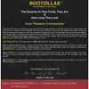 DR Strings BZ5-45 Bootzilla Signature 5-String Bass Strings - 2 of 2