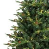 Northlight Real Touch™ Pre-Lit Shenandoah Pine Artificial Christmas Tree - 6.5' Warm White LED - 4 of 4