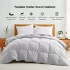 Peace Nest Ultra Soft All Season Down Comforter - 2 of 4