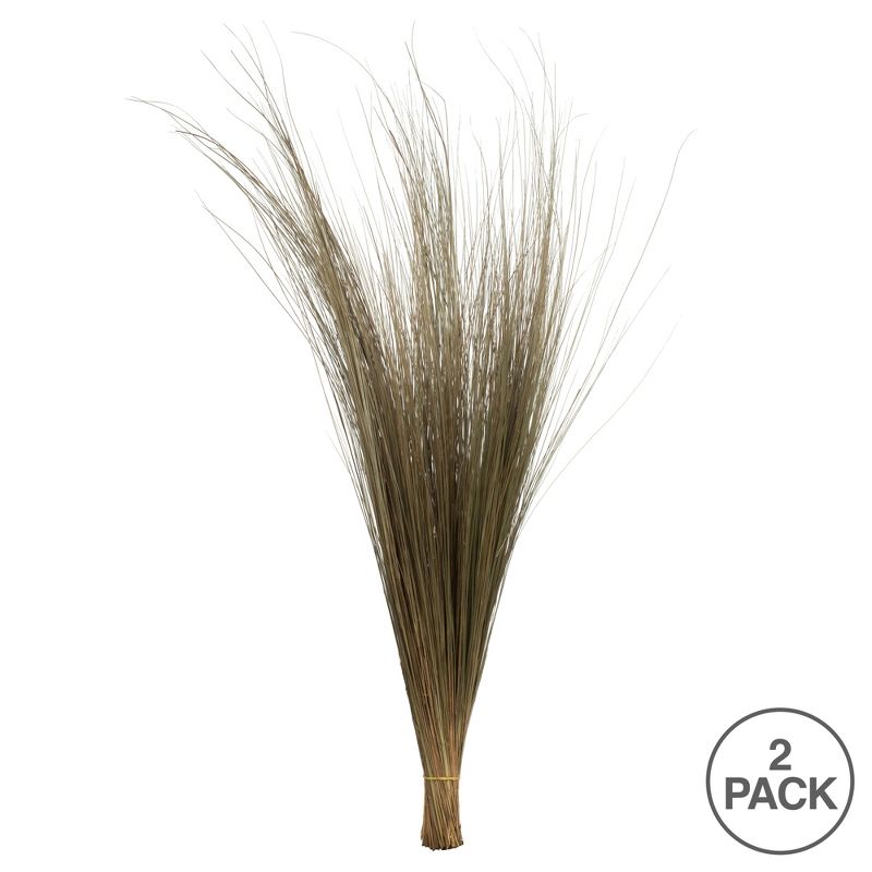 Vickerman 35"-40" Bright Grass Bundle, Dried, 5 of 6