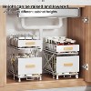 Fortune Candy 2-layer Liftable Foldable Under Sink Organizer White - 2 of 4