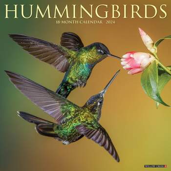 Willow Creek Press 2024 Wall Calendar 12"x12" Hummingbirds